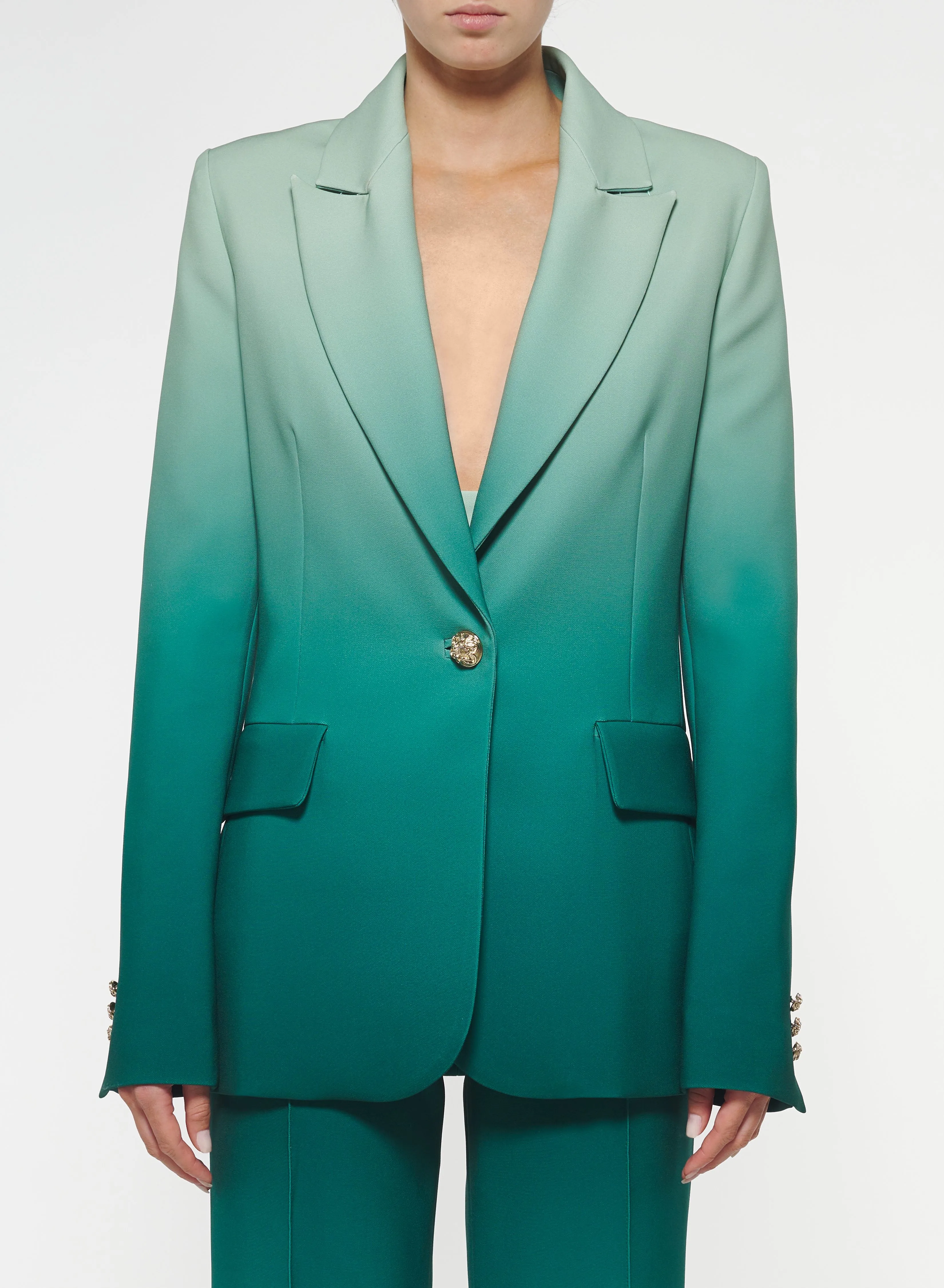 Gradient Cady Blazer