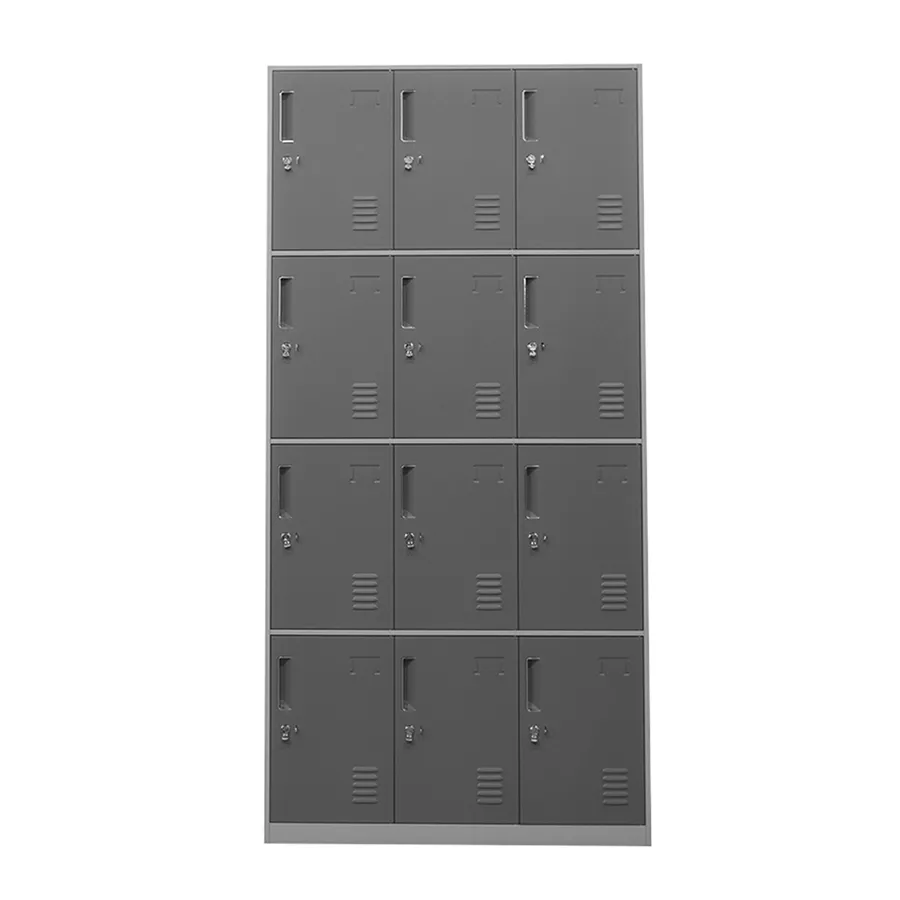 Heavy-Duty Hanley 12-Door Metal Locker - Durable Storage Solution for Schools, Gyms, and Workplaces
