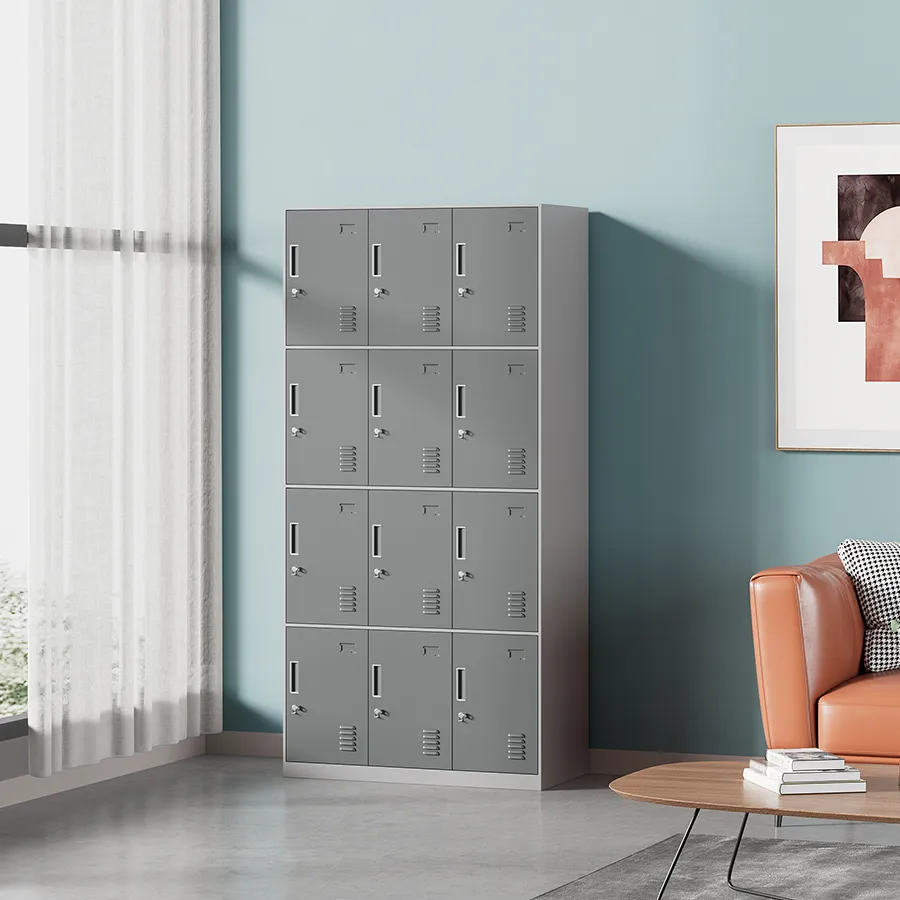 Heavy-Duty Hanley 12-Door Metal Locker - Durable Storage Solution for Schools, Gyms, and Workplaces