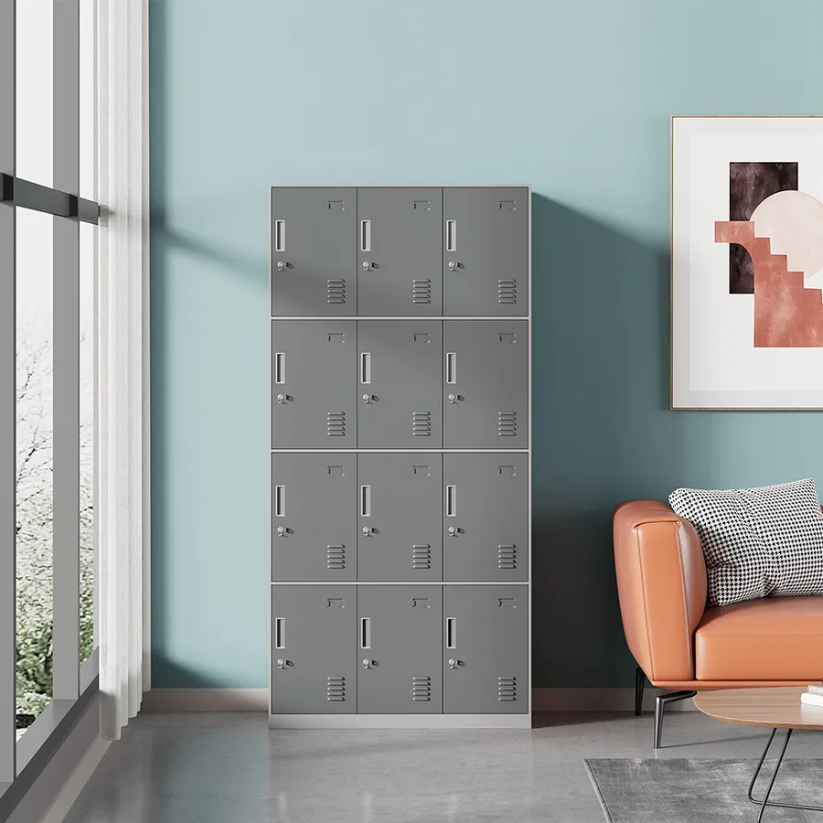 Heavy-Duty Hanley 12-Door Metal Locker - Durable Storage Solution for Schools, Gyms, and Workplaces