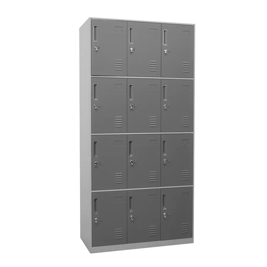 Heavy-Duty Hanley 12-Door Metal Locker - Durable Storage Solution for Schools, Gyms, and Workplaces