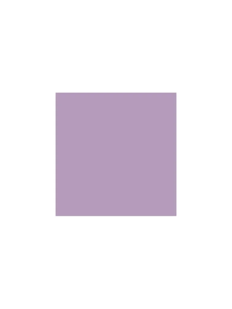 HOP Kids Lilac Smocked Top
